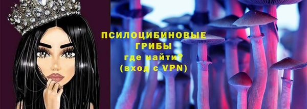прущие грибы Баксан