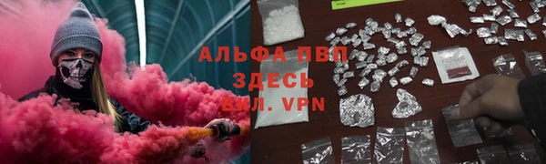 прущие грибы Баксан