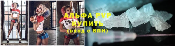 прущие грибы Баксан