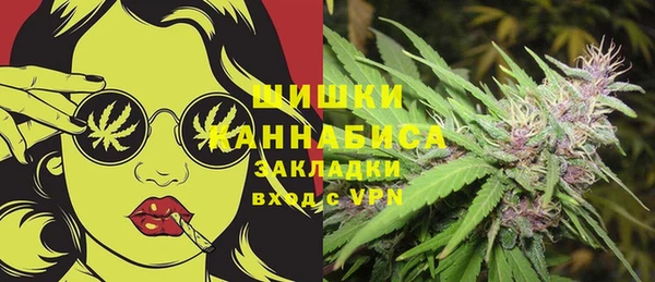 прущие грибы Баксан