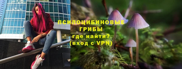 прущие грибы Баксан