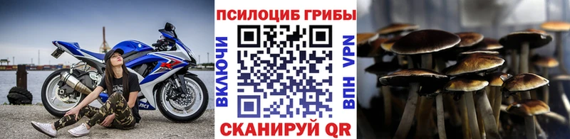 Купить  Светлоград  Псилоцибиновые грибы GOLDEN TEACHER 